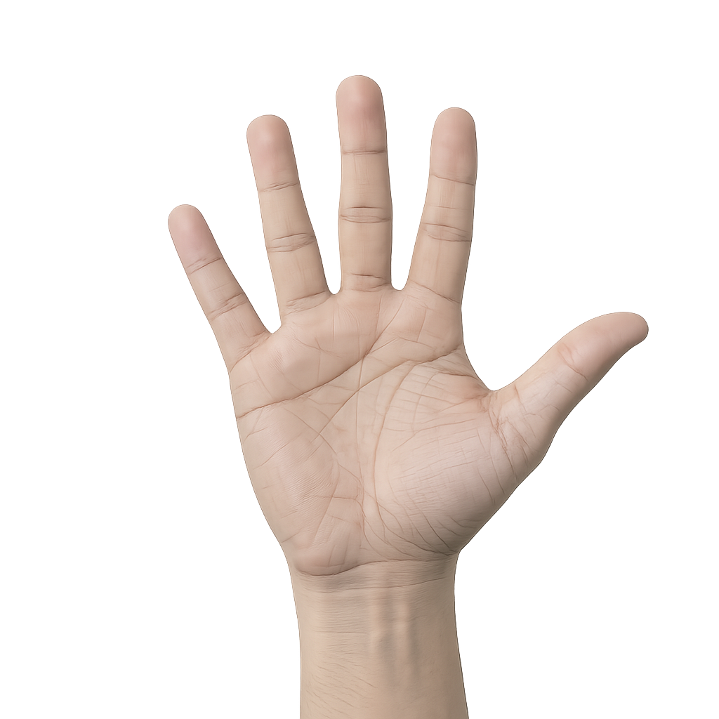 Gesture